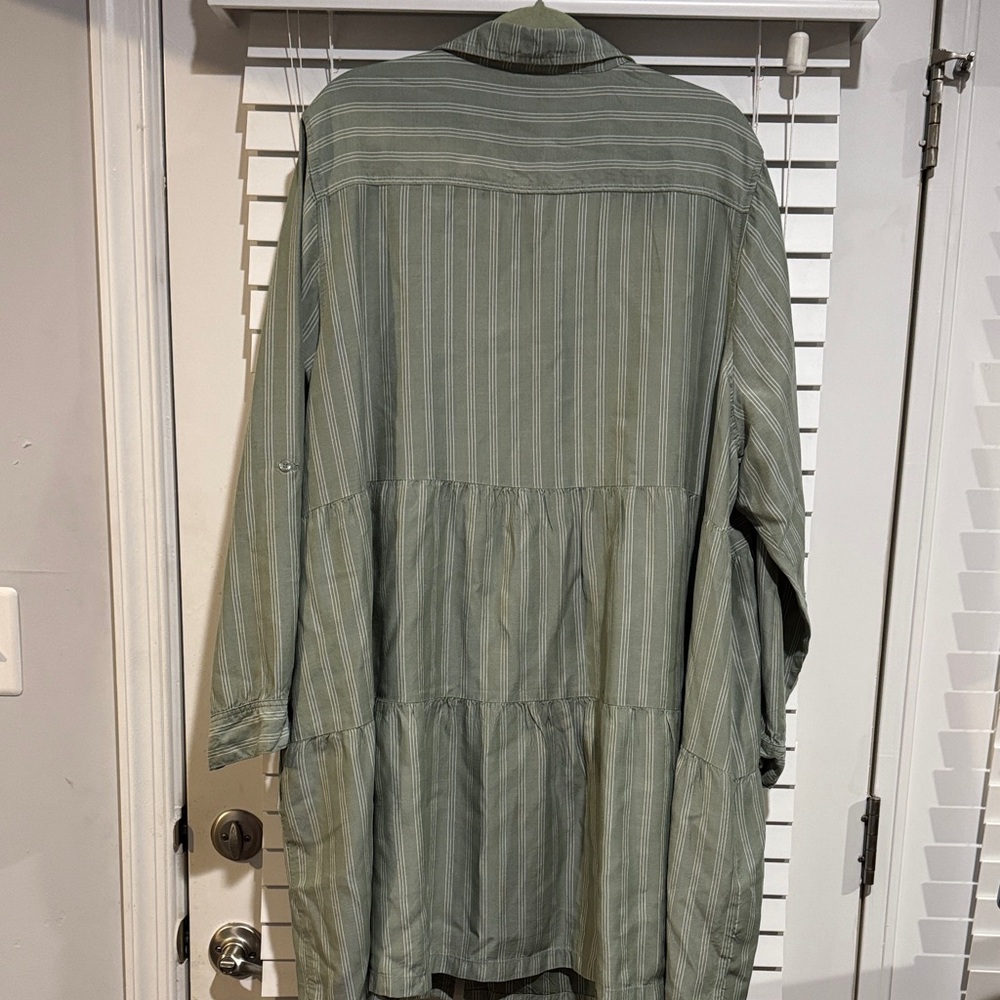 Cato Olive Striped Shirt Dress - Picture 5 of 5
